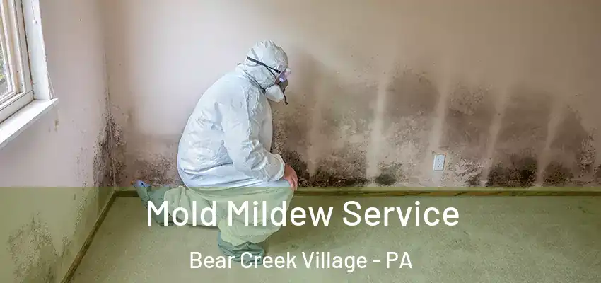 Mold Mildew Service Bear Creek Village - PA