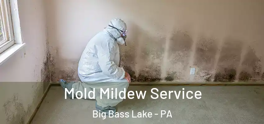 Mold Mildew Service Big Bass Lake - PA