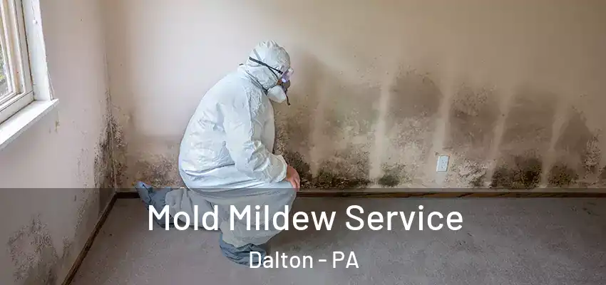 Mold Mildew Service Dalton - PA