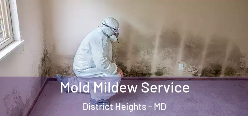 Mold Mildew Service District Heights - MD