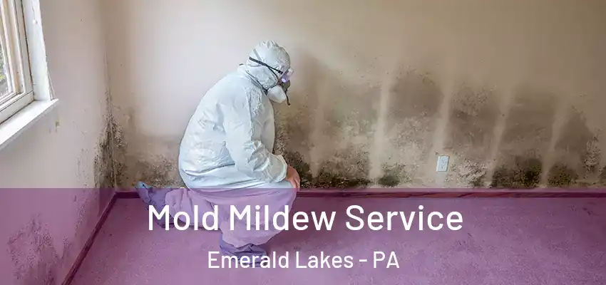 Mold Mildew Service Emerald Lakes - PA