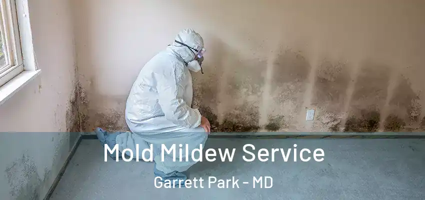 Mold Mildew Service Garrett Park - MD