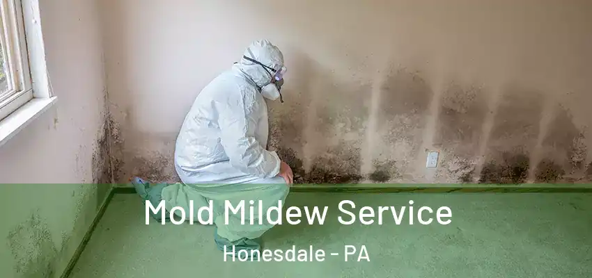 Mold Mildew Service Honesdale - PA