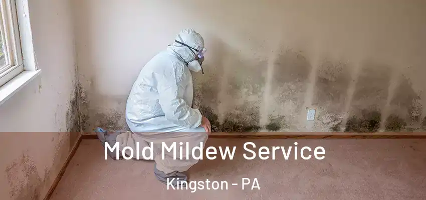  Mold Mildew Service Kingston - PA