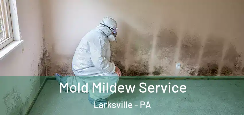 Mold Mildew Service Larksville - PA