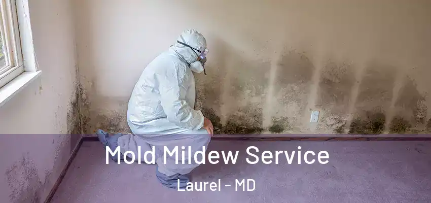 Mold Mildew Service Laurel - MD