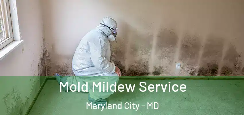 Mold Mildew Service Maryland City - MD