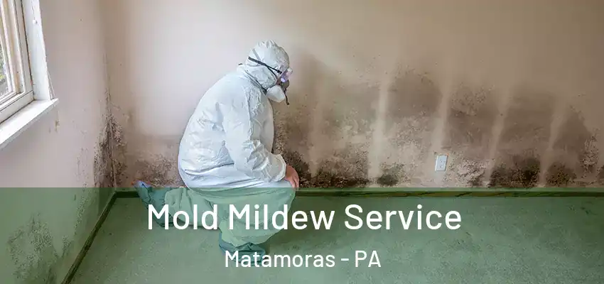  Mold Mildew Service Matamoras - PA
