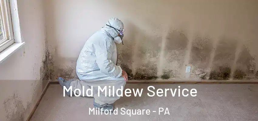 Mold Mildew Service Milford Square - PA