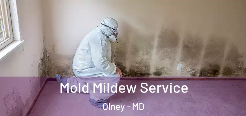 Mold Mildew Service Olney - MD