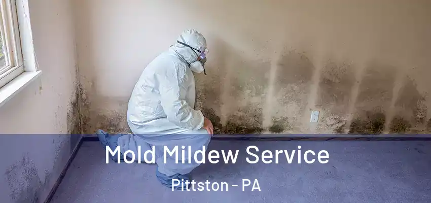 Mold Mildew Service Pittston - PA