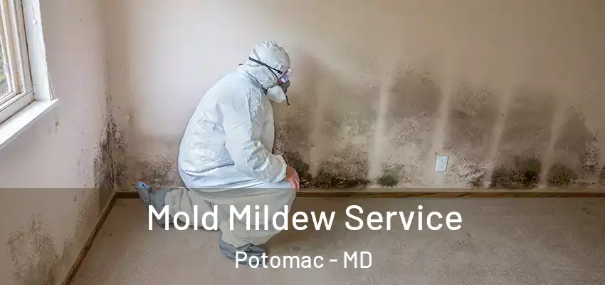 Mold Mildew Service Potomac - MD