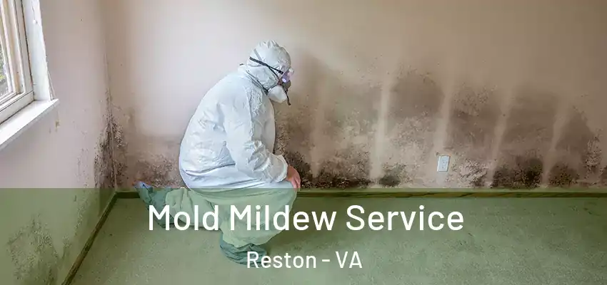 Mold Mildew Service Reston - VA