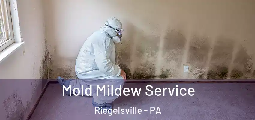 Mold Mildew Service Riegelsville - PA