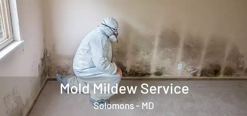 Mold Mildew Service Solomons - MD