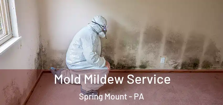 Mold Mildew Service Spring Mount - PA
