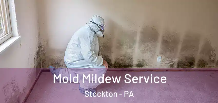Mold Mildew Service Stockton - PA