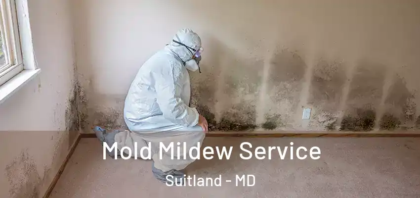 Mold Mildew Service Suitland - MD