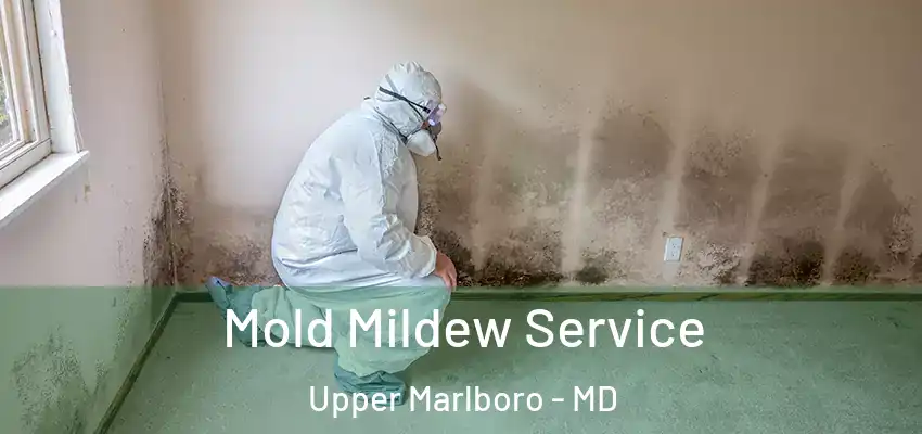 Mold Mildew Service Upper Marlboro - MD