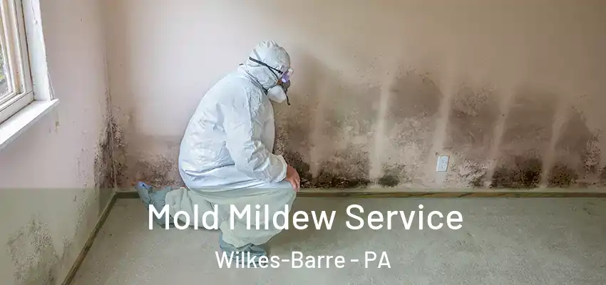 Mold Mildew Service Wilkes-Barre - PA