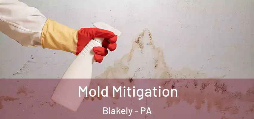 Mold Mitigation Blakely - PA