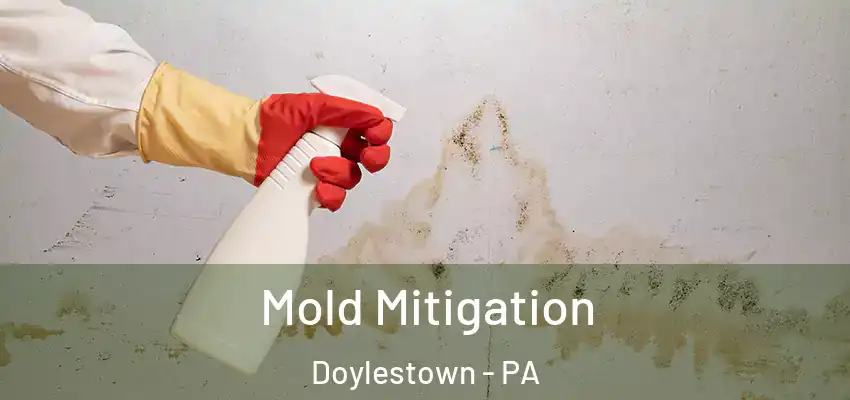 Mold Mitigation Doylestown - PA
