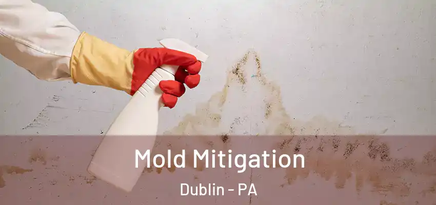Mold Mitigation Dublin - PA