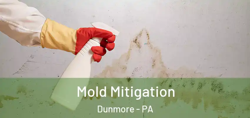 Mold Mitigation Dunmore - PA