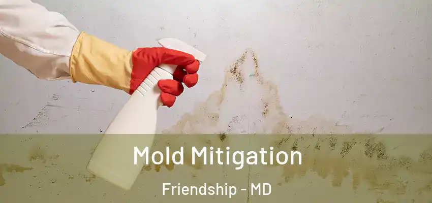  Mold Mitigation Friendship - MD