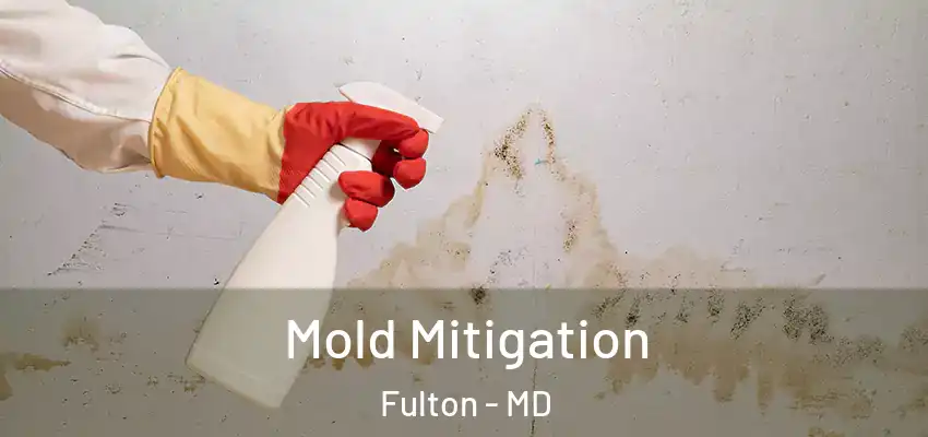Mold Mitigation Fulton - MD