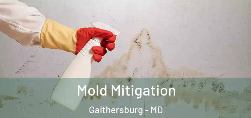 Mold Mitigation Gaithersburg - MD