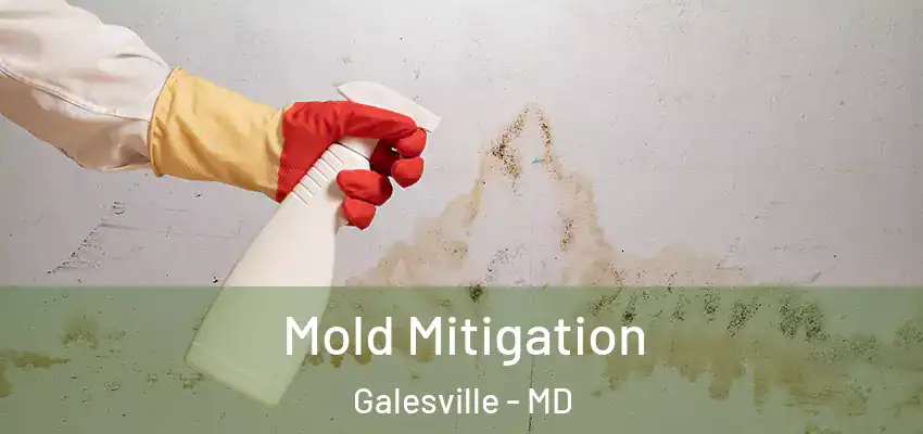 Mold Mitigation Galesville - MD