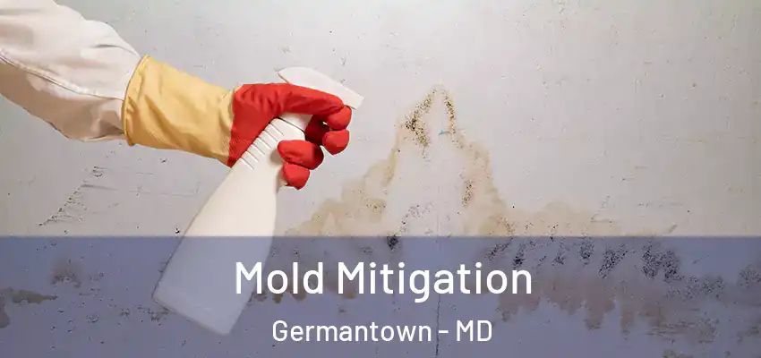 Mold Mitigation Germantown - MD