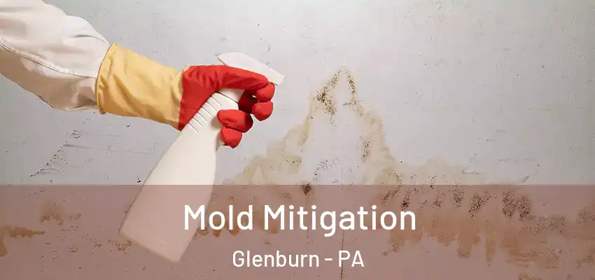 Mold Mitigation Glenburn - PA