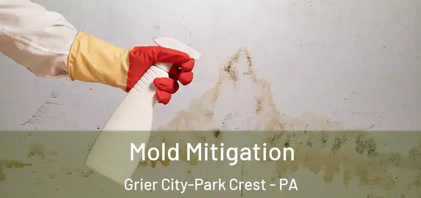Mold Mitigation Grier City-Park Crest - PA
