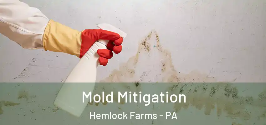 Mold Mitigation Hemlock Farms - PA