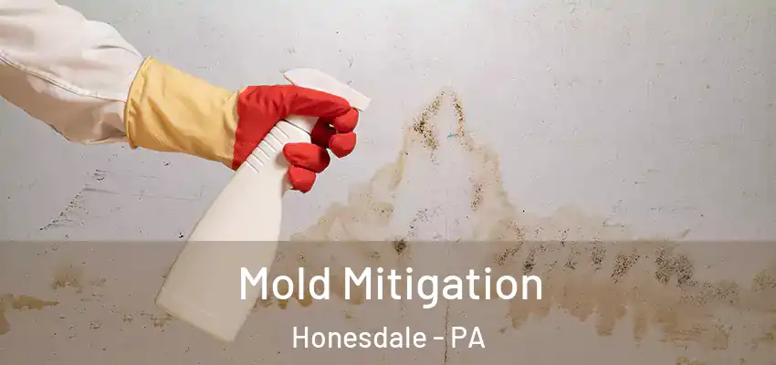 Mold Mitigation Honesdale - PA