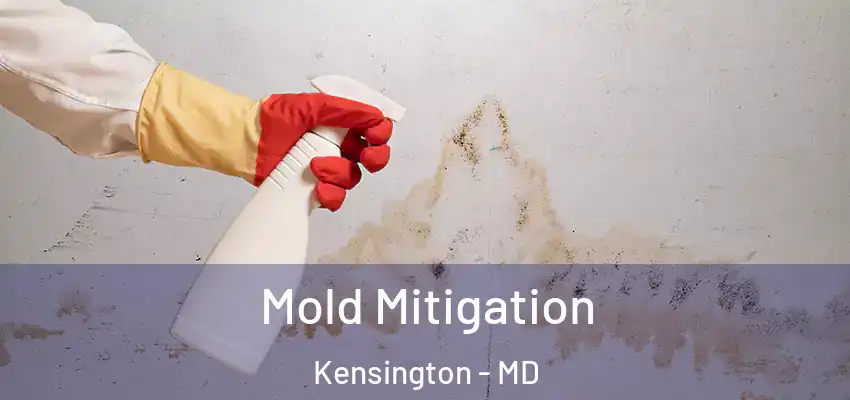 Mold Mitigation Kensington - MD