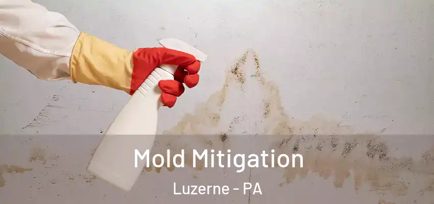 Mold Mitigation Luzerne - PA