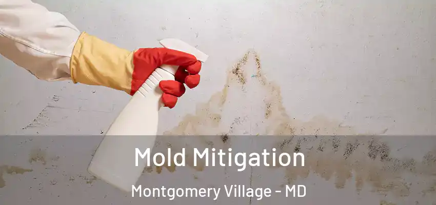 Mold Mitigation Montgomery Village - MD