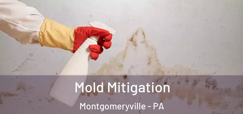 Mold Mitigation Montgomeryville - PA