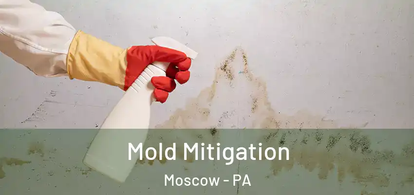 Mold Mitigation Moscow - PA