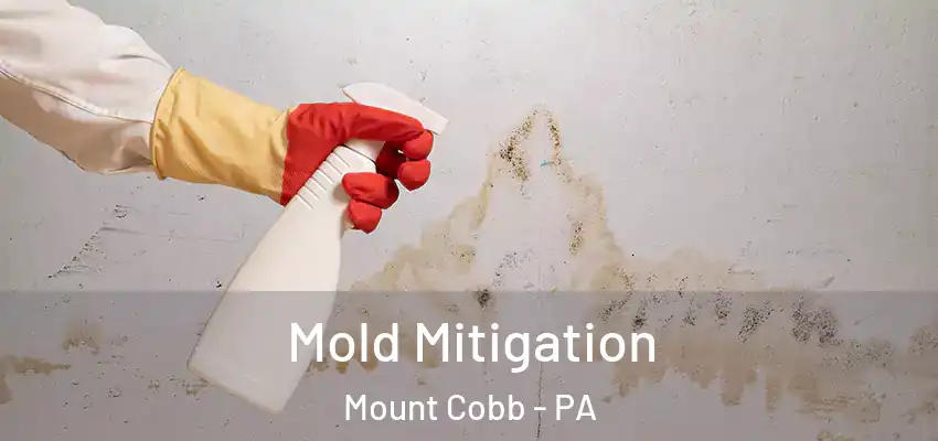 Mold Mitigation Mount Cobb - PA