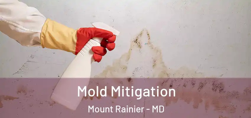 Mold Mitigation Mount Rainier - MD