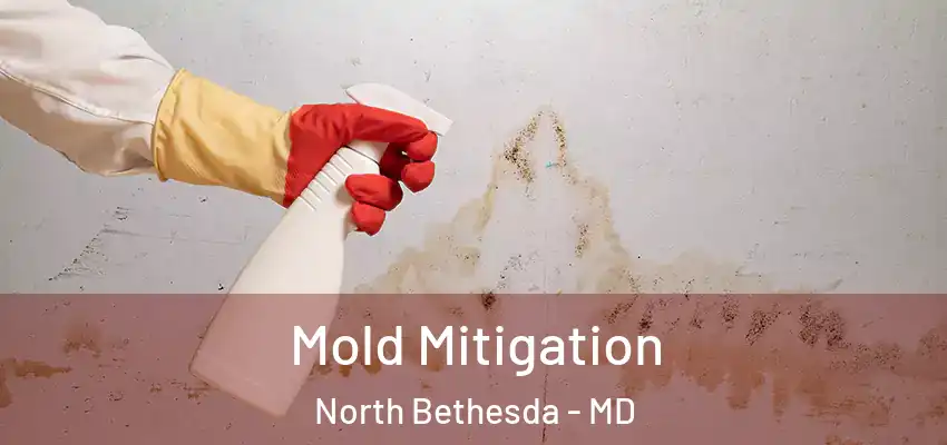 Mold Mitigation North Bethesda - MD