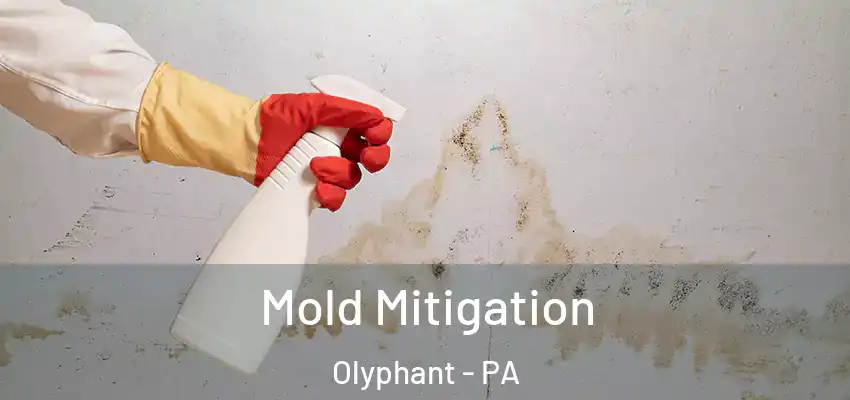 Mold Mitigation Olyphant - PA