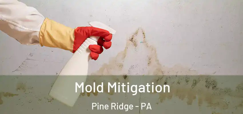Mold Mitigation Pine Ridge - PA