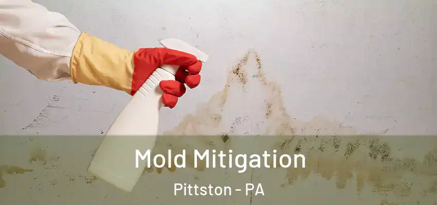 Mold Mitigation Pittston - PA