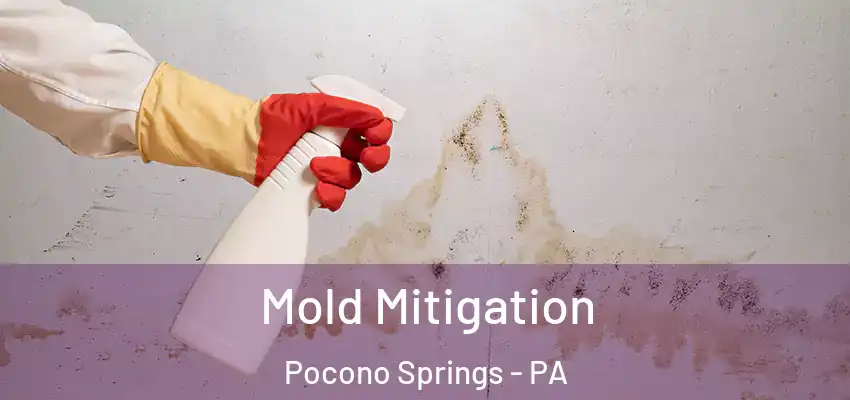  Mold Mitigation Pocono Springs - PA