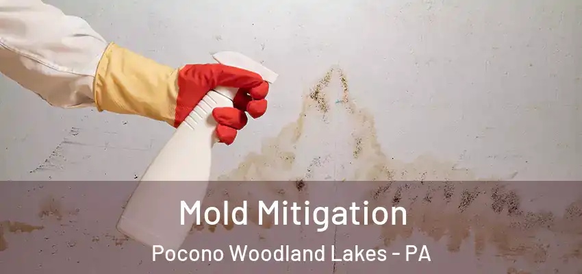 Mold Mitigation Pocono Woodland Lakes - PA